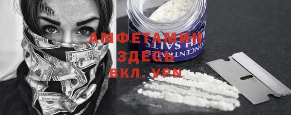 твердый Алексеевка