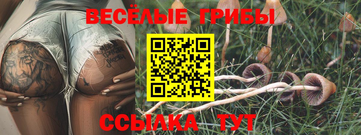 Уссурийск  Псилоцибиновые грибы ЛСД  Вход с VPN 